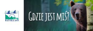 Gdzie jest Miś